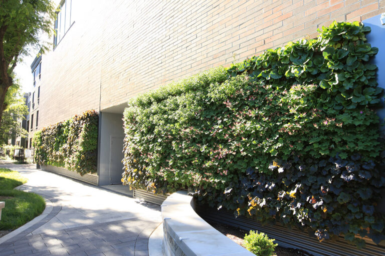 The Best Exterior Living Walls US: Definitive Guide to Vertical Gardens