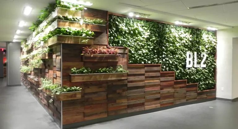 Best Green Walls United States: A Guide to Living Infrastructure