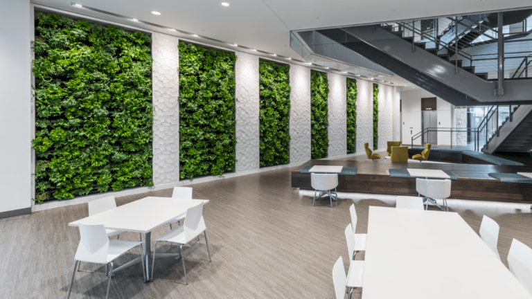 Best Living Wall for Office: The Ultimate Professional Guide