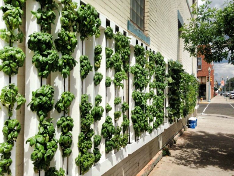 Compare Hydroponic Wall Kits: A Professional Engineering Guide