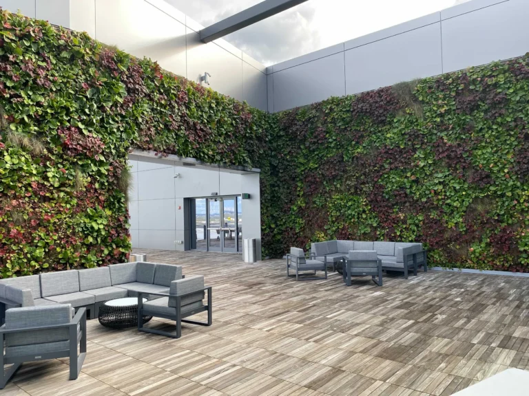 How to Avoid Plant Walls Failure: The Ultimate Engineering & Biology Guide
