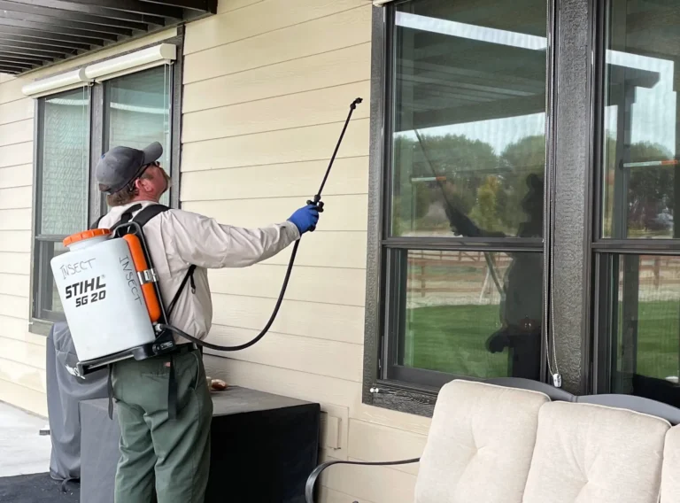 How to Avoid Walls Pest Infestations: A Definitive Editorial Guide