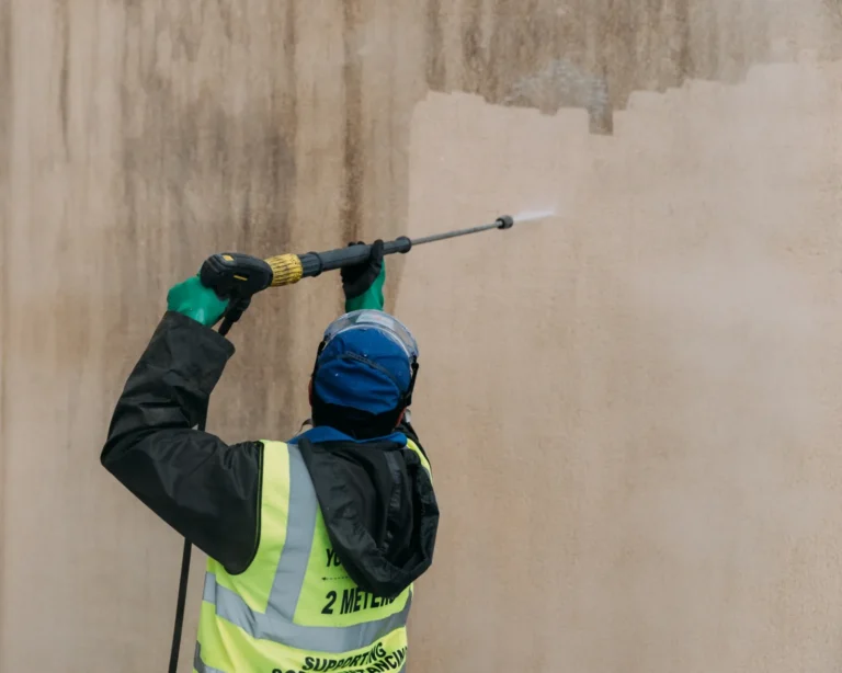 How to Manage Walls Algae Growth: The Definitive Editorial Guide