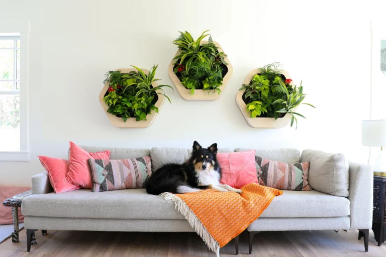 How to Plan Living Walls on a Budget: A Professional Design Guide