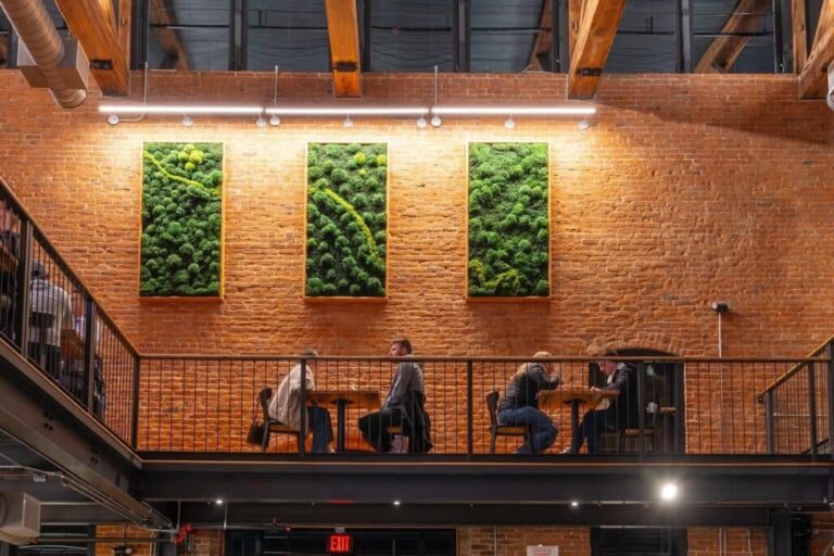 Luxury Moss Walls USA: The Definitive Guide to Preserved Vertical