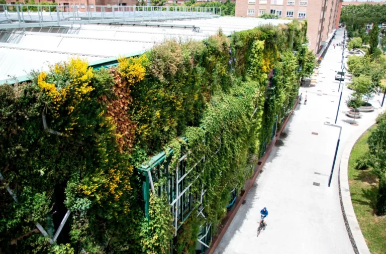 Vertical Greenery System Plans: The Definitive Professional Guide